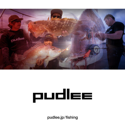 PUDLEE グラフィックデザイン事例:PUDLEE