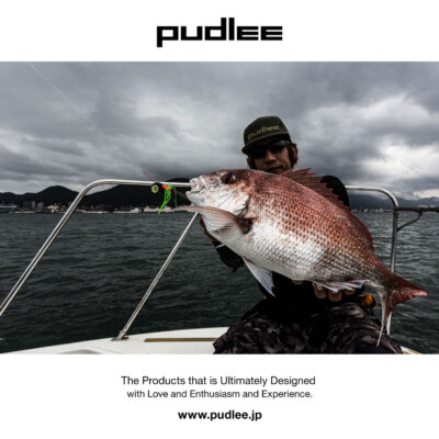 PUDLEE グラフィックデザイン事例:PUDLEE